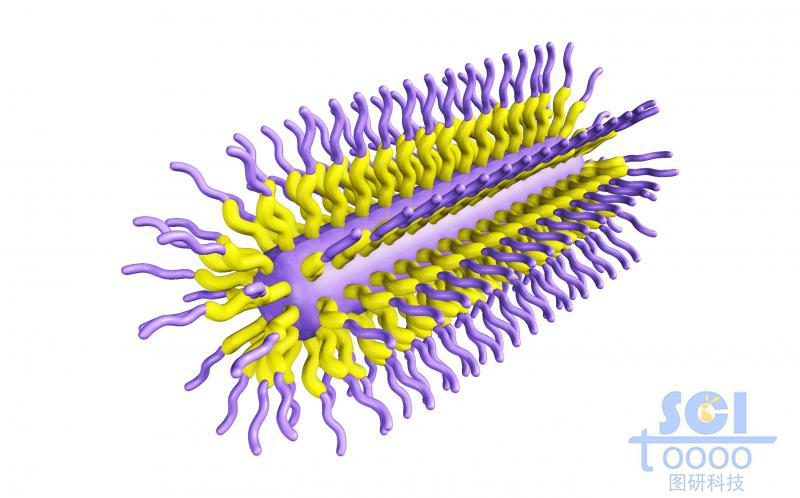 膠囊狀三段式高分子聚合結(jié)構(gòu)