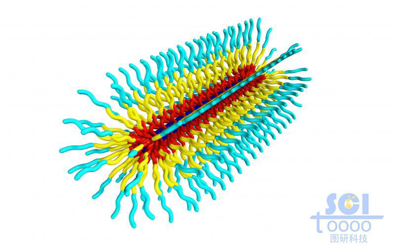 膠囊狀三段式高分子聚合結(jié)構(gòu)