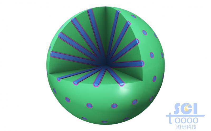 放射狀孔道的介孔球，孔道內(nèi)帶兩種有機(jī)物質(zhì)填充