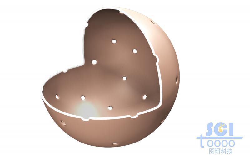 帶核孔的八分之一切口的細(xì)胞核