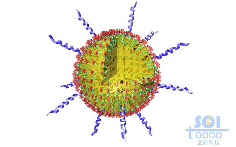 帶+電荷的高分子鏈段納米球