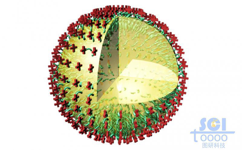 內(nèi)部液體填充表面附著均勻的帶+電荷的高分子鏈段的納米球