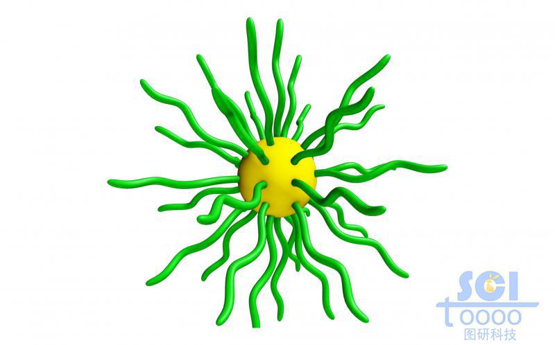 表面包裹高分子鏈端的金納米顆粒