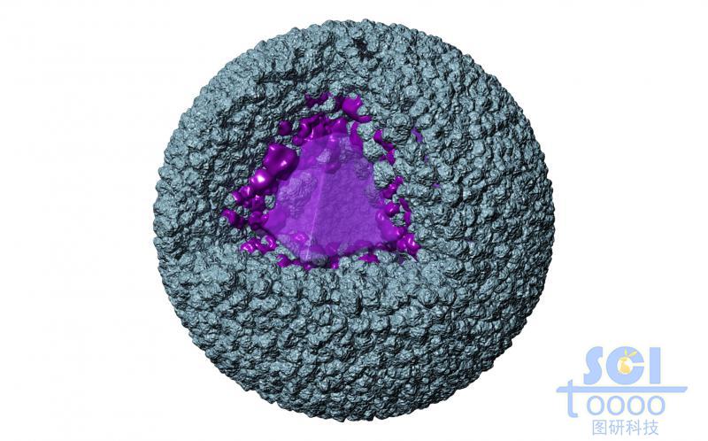 納米顆粒堆積的表面多孔道的空心球殼結構內部生長多面體結晶
