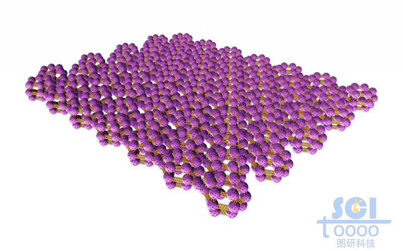 碳管網(wǎng)絡(luò)骨架