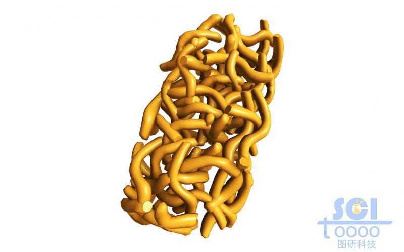 高分子鏈段堆積的簇狀結(jié)構