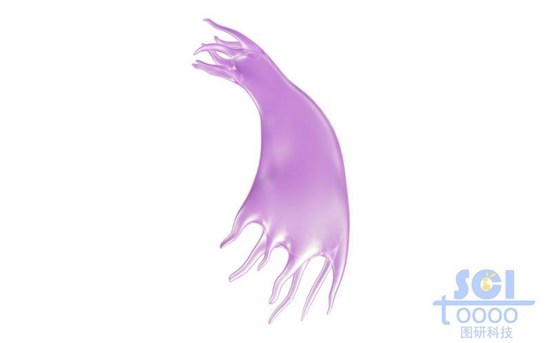 帶觸角的細(xì)胞單體