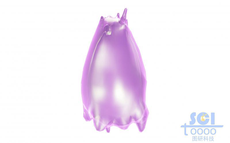 帶觸角的細(xì)胞單體