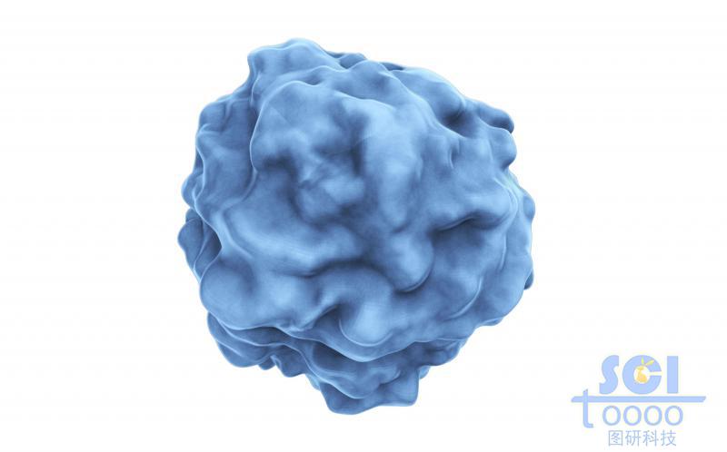 蛋白質(zhì)結(jié)構(gòu)