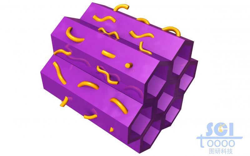 鑲嵌高分子鏈端的六邊形中空管道