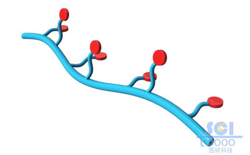 帶分支基團的高分子鏈端