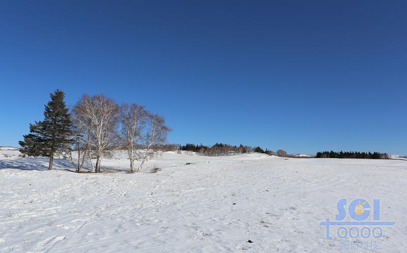 藍(lán)天雪地