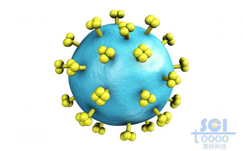 表面帶突起的病毒結(jié)構(gòu)