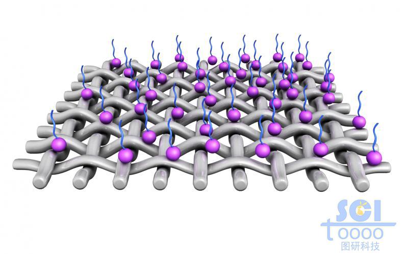 表面附著高分子的縱橫交錯的網(wǎng)狀膜結構
