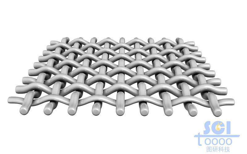 縱橫交錯的網(wǎng)狀膜結構