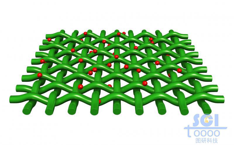 表面附著分子顆粒的縱橫交錯的網(wǎng)狀膜結構