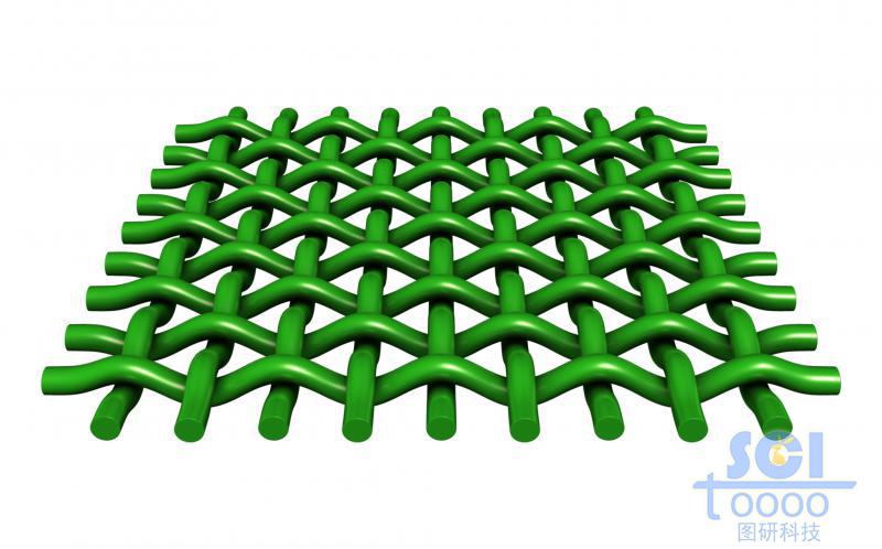 縱橫交錯的網(wǎng)狀膜結構