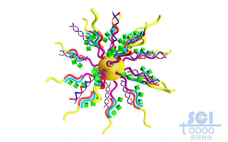 多聚肽納米膠束承載MiRNA