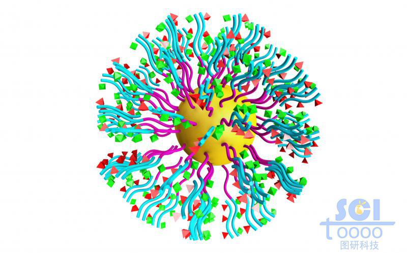 多聚肽納米膠束