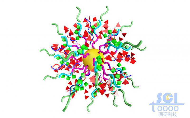 多聚肽納米膠束承載MiRNA