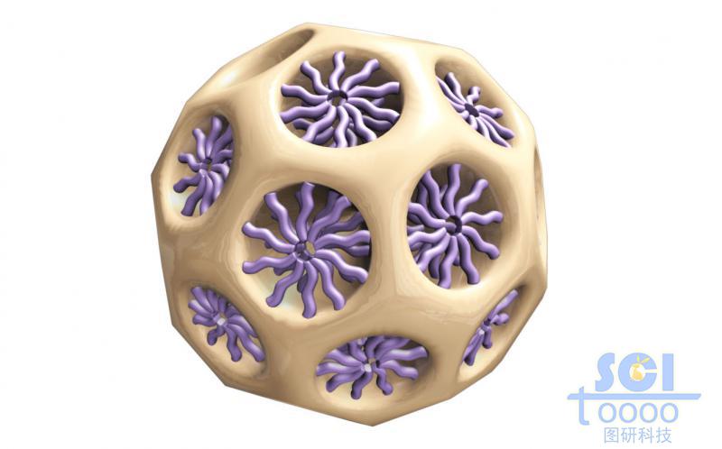 二氧化硅介孔中空球孔道內修飾聚合物