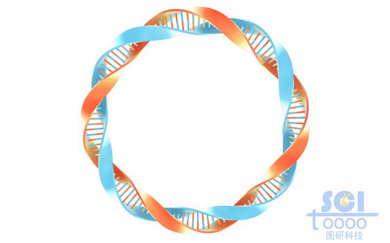 質(zhì)粒環(huán)