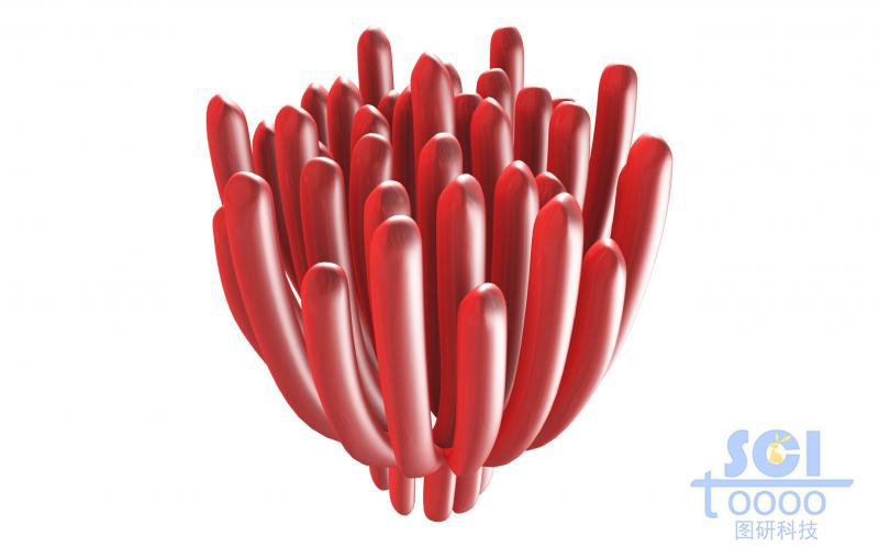 類珊瑚結(jié)構(gòu)的納米簇