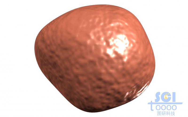 單獨(dú)蛋白結(jié)構(gòu)/示意性蛋白結(jié)構(gòu)