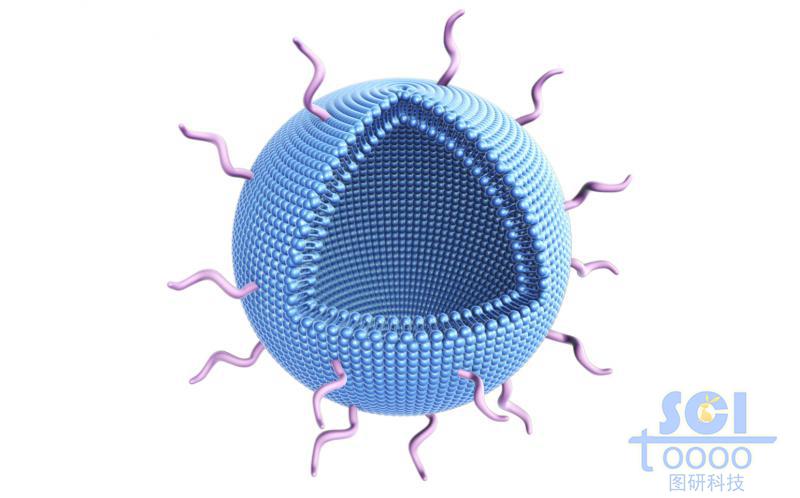 八分之一切口的氯化鈉脂質體