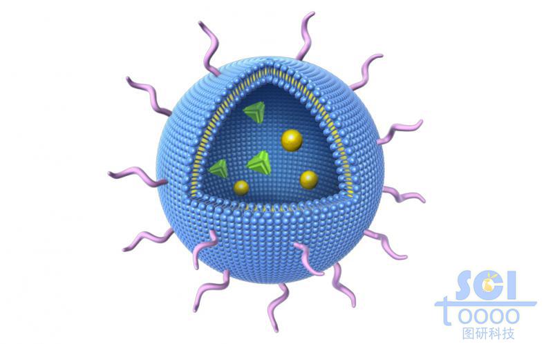 八分之一切口的氯化鈉脂質體