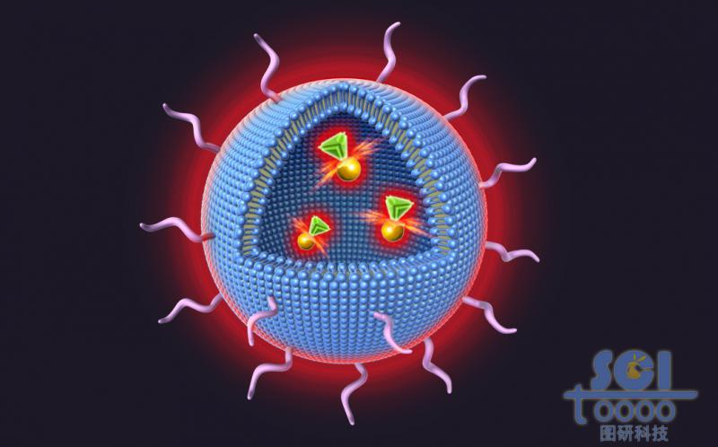 八分之一切口的發(fā)熱的氯化鈉脂質體