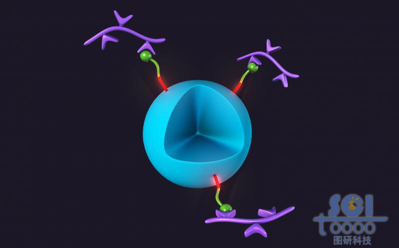 氨基修飾且尾端吸附高分子鏈段的納米顆粒