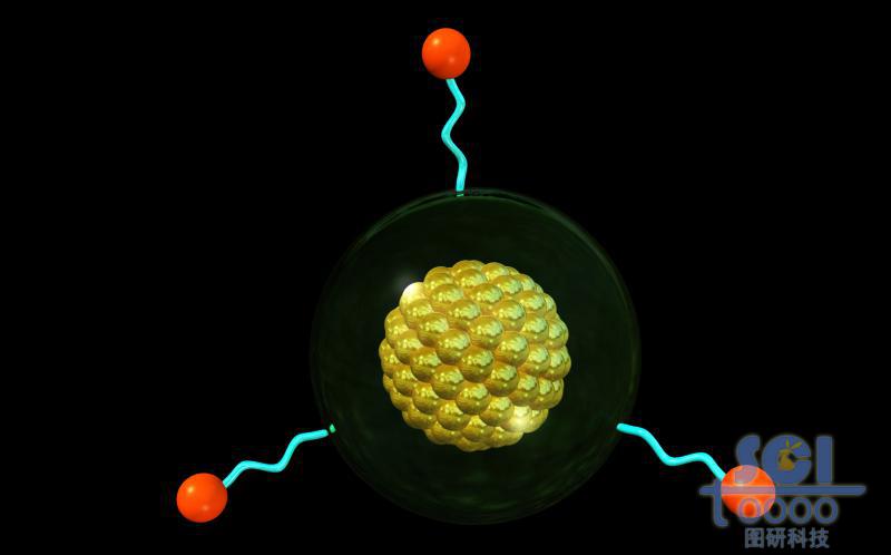 金屬原子與表面修飾基團