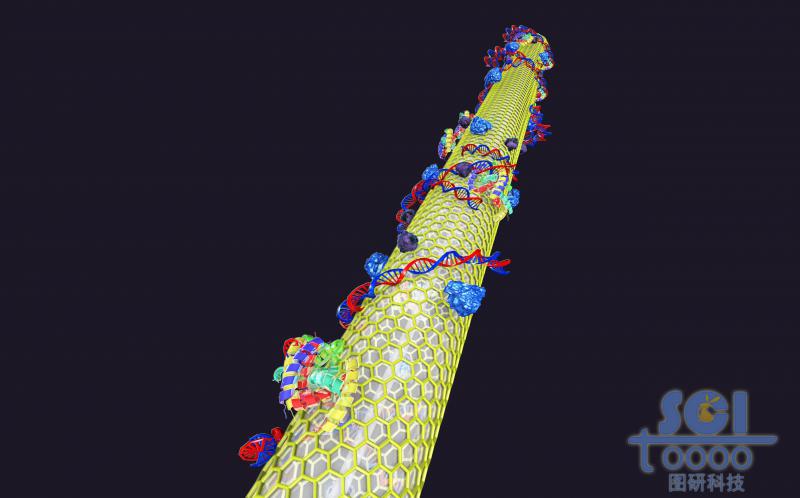 光纖表面包裹石墨烯結(jié)構(gòu)，且附著生物結(jié)構(gòu)