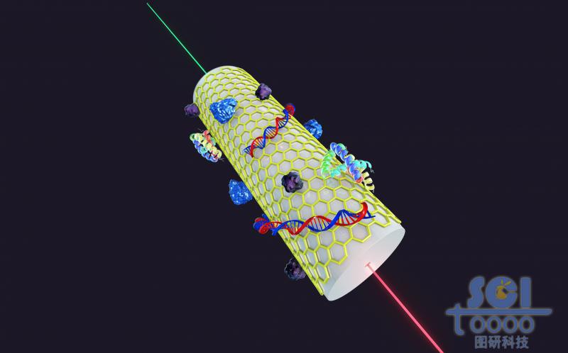 光纖表面包裹石墨烯結(jié)構(gòu)，且附著生物結(jié)構(gòu)