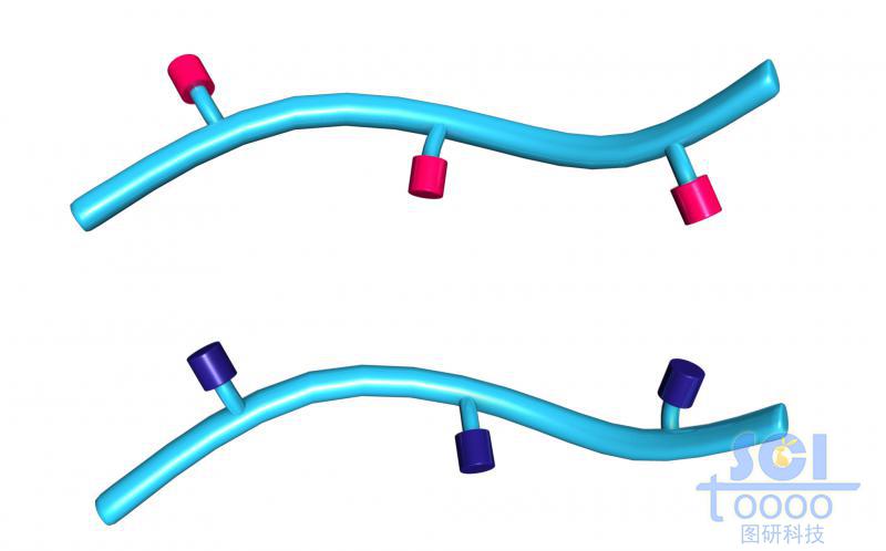 帶功能基團(tuán)的高分子鏈段