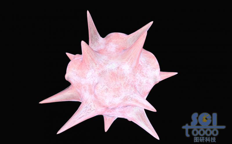 癌細(xì)胞/病毒