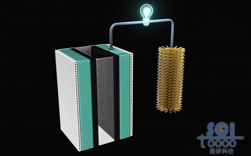 陽極為多層結(jié)構(gòu)陰極為毛刷結(jié)構(gòu)的電池