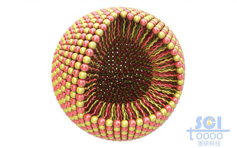 兩種鏈段形成的膠束顆粒/微球