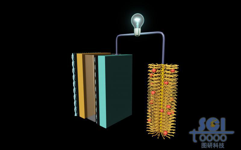 陽極為多層結(jié)構(gòu)陰極為毛刷結(jié)構(gòu)的電池