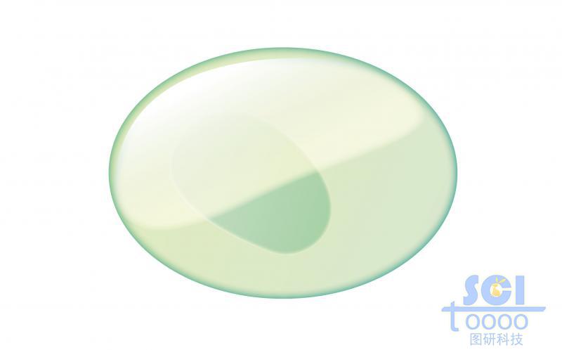 單體細(xì)胞/NK免疫細(xì)胞