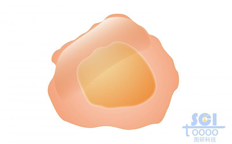 單體細(xì)胞模式圖