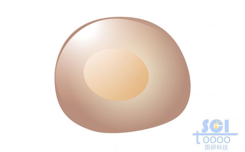 單體細(xì)胞/淋巴樣干細(xì)胞