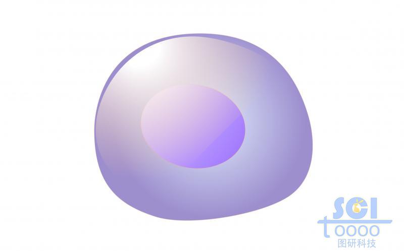 單體細(xì)胞/后祖B細(xì)胞