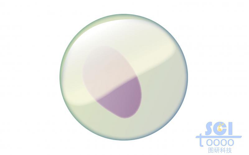 單體細胞模式圖