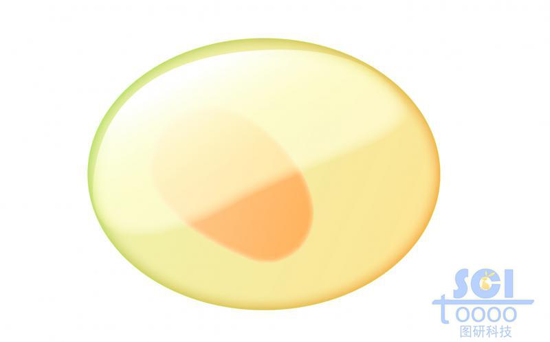 單體細胞/造血干細胞