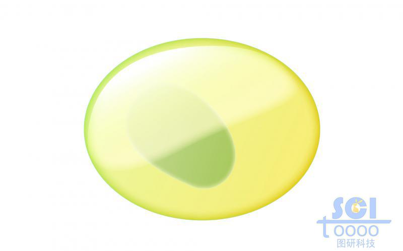 單體細胞/共同淋巴祖細胞