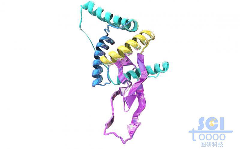 蛋白質(zhì)結(jié)構(gòu)