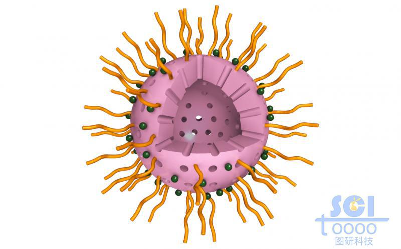 外層修飾高分子鏈段，表面鑲嵌有機(jī)基團(tuán)的介孔二氧化硅中空球