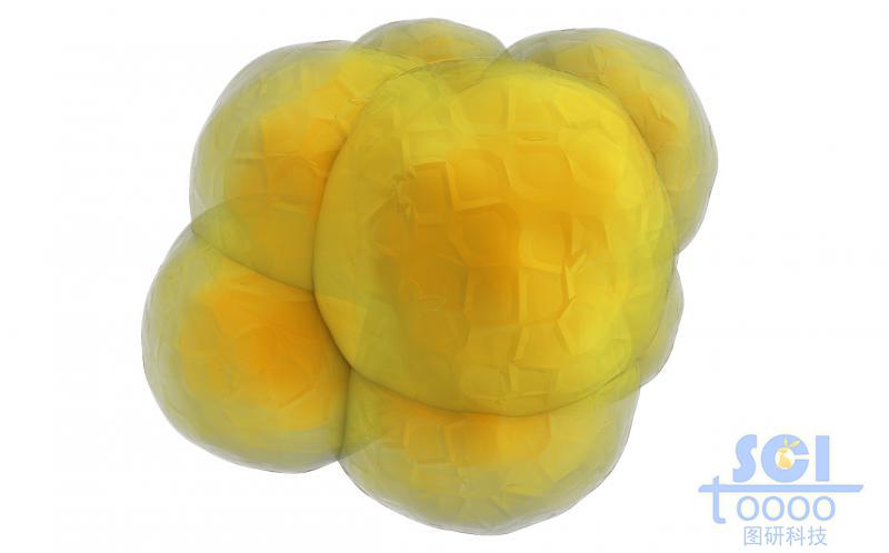多個(gè)細(xì)胞堆積的細(xì)胞團(tuán)/腫瘤示意